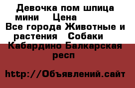 Девочка пом шпица мини  › Цена ­ 30 000 - Все города Животные и растения » Собаки   . Кабардино-Балкарская респ.